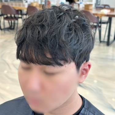 댄디컷