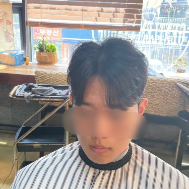 댄디컷