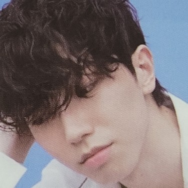 레드브라운
