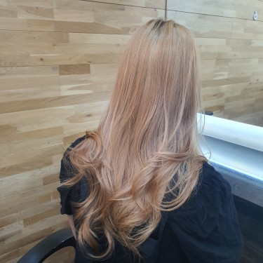 허쉬컷