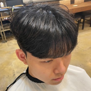 댄디컷