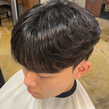 댄디컷