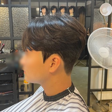댄디컷