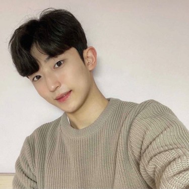 댄디컷