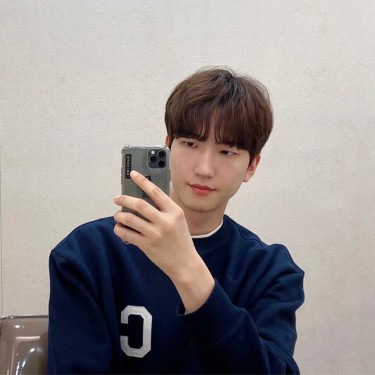 댄디컷