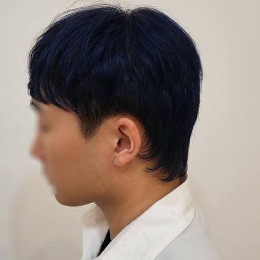 울프컷