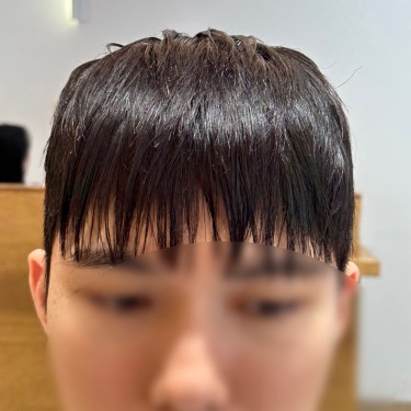 스타일