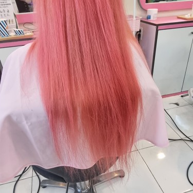 스타일
