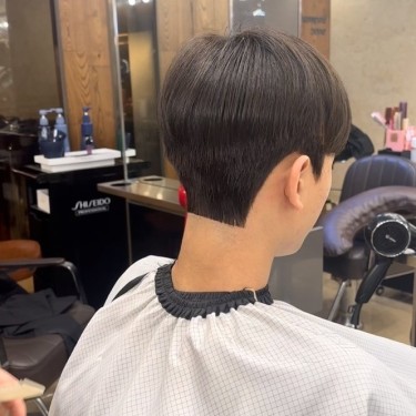 댄디컷