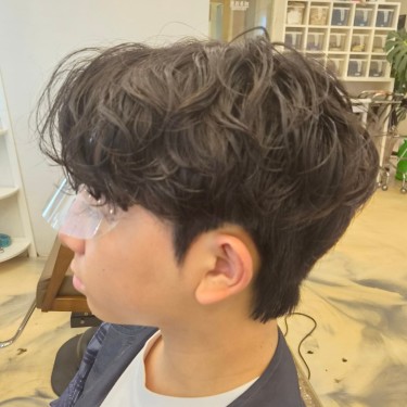 style image