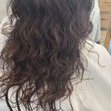 style image