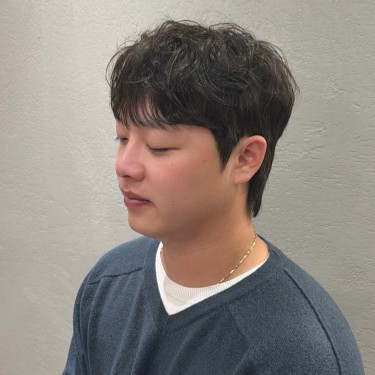 댄디컷
