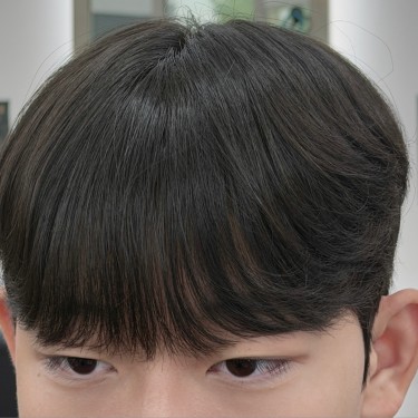 댄디컷