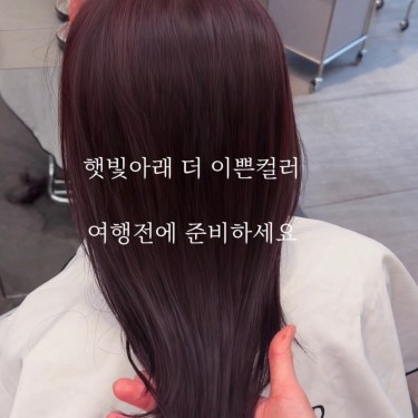 레드와인