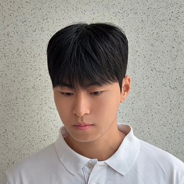 style image