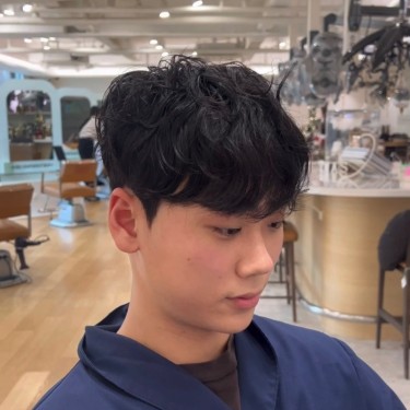 댄디컷