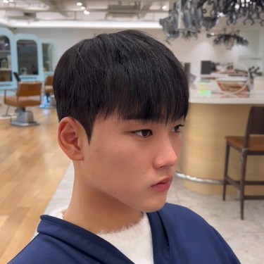 댄디컷