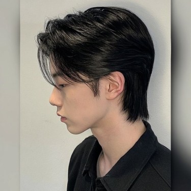style image