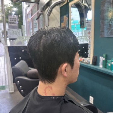 style image