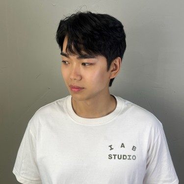 style image