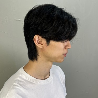 style image