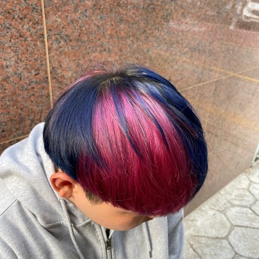 브릿지