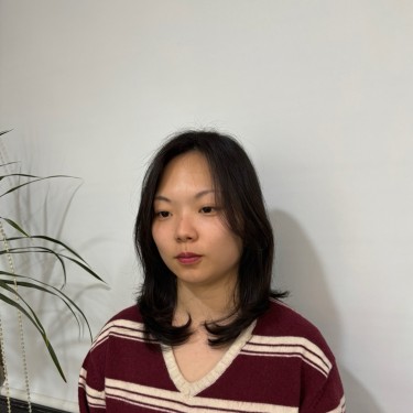 스타일