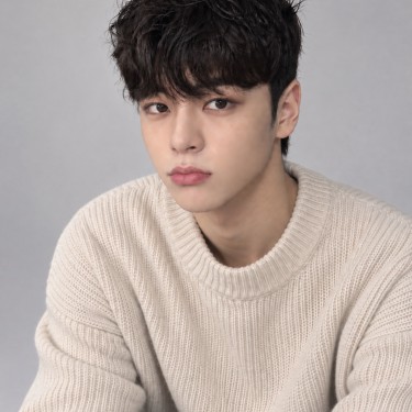 댄디컷