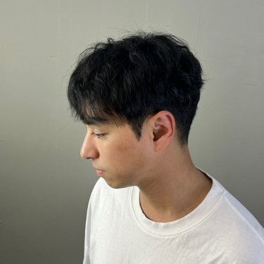 댄디컷