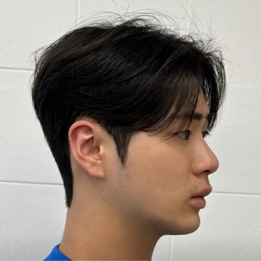 style image