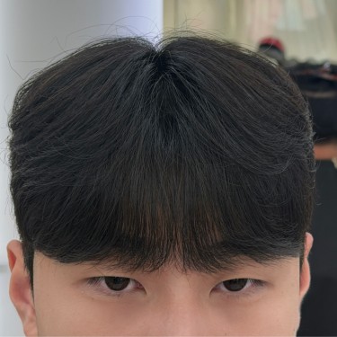 스타일