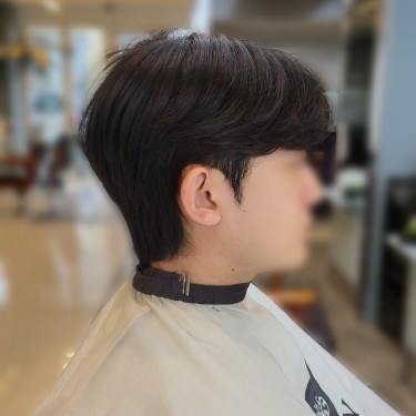 댄디컷