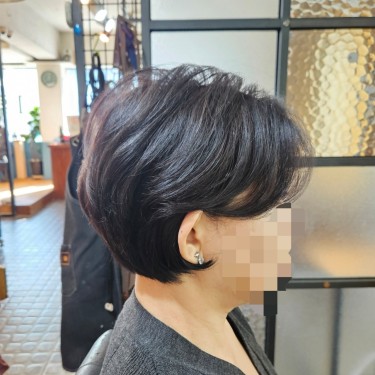초코브라운