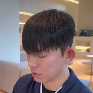 댄디컷