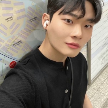 댄디컷