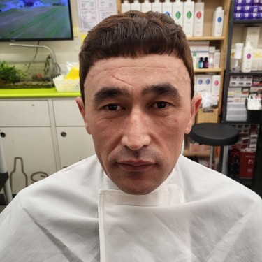 스타일