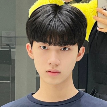 댄디컷