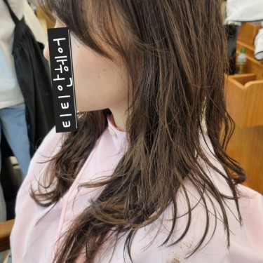 허쉬컷