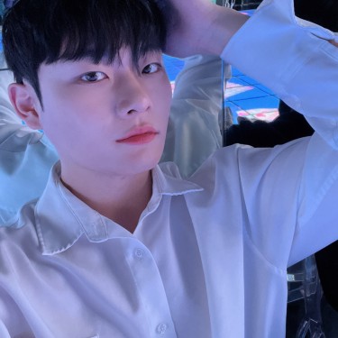 댄디컷