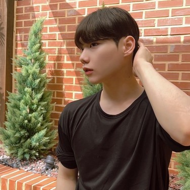 댄디컷