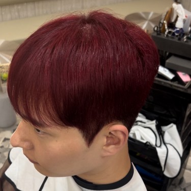 댄디컷