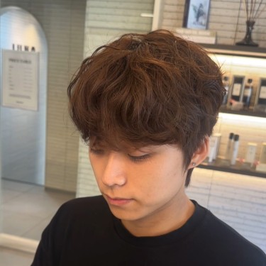 댄디컷