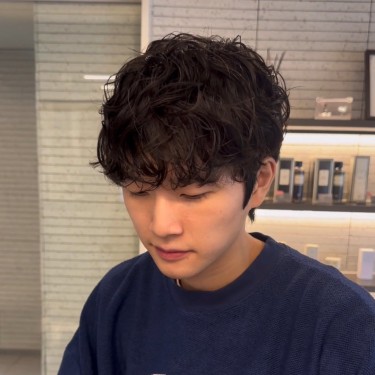 댄디컷