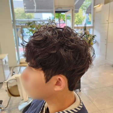댄디컷