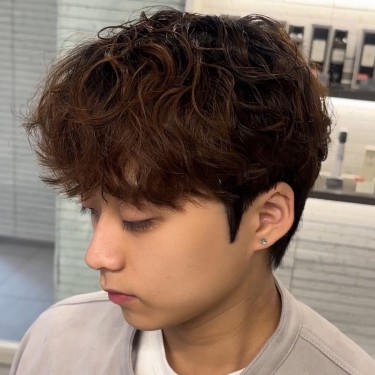 댄디컷