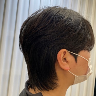 style image