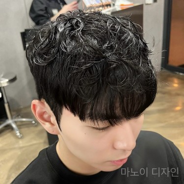 댄디컷