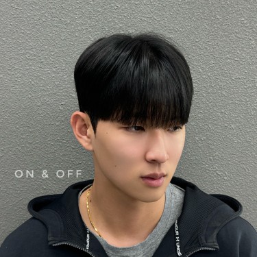 댄디컷