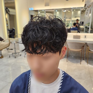 댄디컷