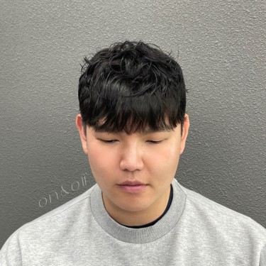 댄디컷